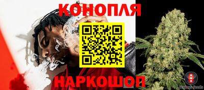 гидропоника Тулун